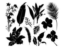 impostato di nero sagome di le foglie e fiori. vettore illustrazione.