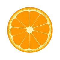 metà di frutta. arancia. vettore