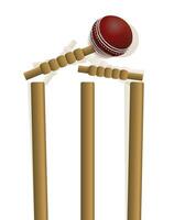 cricket palla colpire il porticina illustrazione vettore