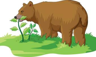 orso mangiare impianti vettore illustrazione