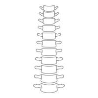 colonna vertebrale icona vettore