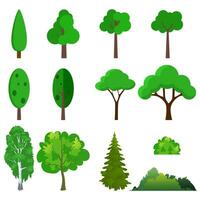 illustrazione di un' impostato diverso alberi vettore