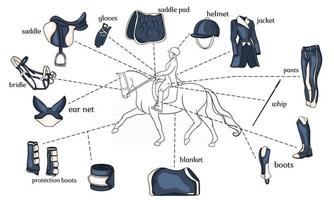 infografica sport equestri imbracatura per cavalli e attrezzatura da cavaliere al centro di un cavaliere su un cavallo in stile cartone animato vettore