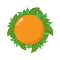 illustrazione vettoriale di icona tagliata di frutta arancione