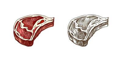 biologico cibo. mano disegnato colorato e monocromatico vettore schizzo di Manzo bistecca, pezzo di carne. scarabocchio Vintage ▾ illustrazione. decorazioni per il menù di caffè. inciso Immagine.