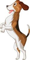 cartone animato cane beagle su sfondo bianco vettore