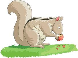 carino scoiattolo mangiare cedro vettore illustrazione