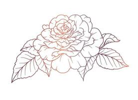 rosa linea disegno. nero e bianca floreale mazzi di fiori. fiore colorazione pagina. floreale linea arte. bene linea rosa fiore illustrazione. mano disegnato fiori. botanico colorazione. nozze invito fiori vettore