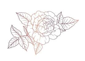 rosa linea disegno. nero e bianca floreale mazzi di fiori. fiore colorazione pagina. floreale linea arte. bene linea rosa fiore illustrazione. mano disegnato fiori. botanico colorazione. nozze invito fiori vettore