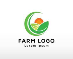 azienda agricola logo sole creativo logo agricoltura logo partire creativo vettore