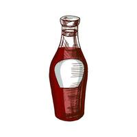 biologico cibo. disegnato a mano colorato vettore schizzo di bicchiere bottiglia con salsa, ketchup. scarabocchio Vintage ▾ illustrazione. decorazioni per il menù di caffè e etichette. inciso Immagine.