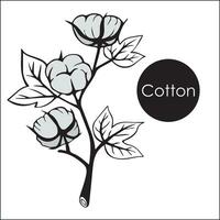 cotone fiore mini cuffie. mano disegnato schizzo stile vettore illustrazione di naturale eco cotone. floreale e botanico elementi. isolato.