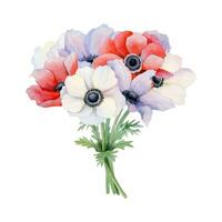 elegante della sposa mazzo di viola, bianca rosso anemone fiori acquerello vettore illustrazione. campo papaveri per primavera nozze