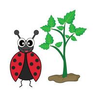 coccinella con pianta illustrazione vettore