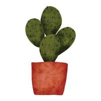 succulente di cactus dell'acquerello sull'illustrazione della pianta in vaso vettore