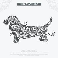 vettore di mandala di cane. elementi decorativi d'epoca. modello orientale, illustrazione vettoriale.