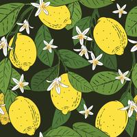 Modello senza cuciture dei rami con i limoni, foglie verdi e fiori sul nero. Sfondo di agrumi. Illustrazione vettoriale