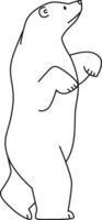polare orso In piedi con pose. il polare orso è bianca in piedi su Due e quattro gambe, disegnato di mano con semplice e schietto Linee. carino scarabocchio cartone animato di un' polare orso in piedi vettore