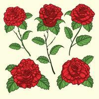 rosso Rose fiori mano disegnato collezione vettore