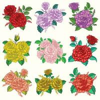 collezione di rosa fiori mazzo con molti colore vettore