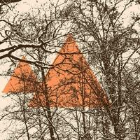astratto grunge sfondo con alberi e triangolo. vettore illustrazione per il tuo design