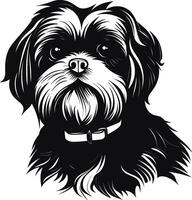 silhouette personaggio shih tzu cane, carino logo. vettore