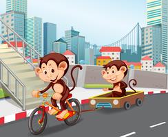 bicicletta da equitazione scimmia in città vettore