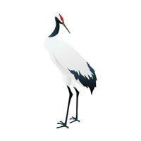 vettore australiano bianca ibis isolato su bianca