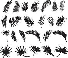 silhouette tropicale foglie, palma le foglie impostato nero e bianca vettore illustrazione. collezione di esotico palma le foglie.
