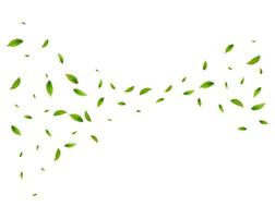 realistico verde tè le foglie nel movimento vettore