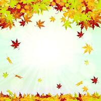 autunno telaio con caduta le foglie vettore