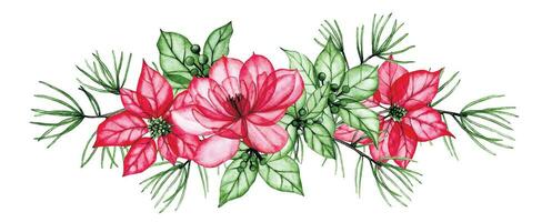 acquerello disegno, Natale decorazione composizione con trasparente fiori, raggi X. poinsettia fiori, agrifoglio le foglie e abete rosso rami. inverno decorazione per nuovo anno, Natale vettore