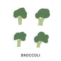 impostato di diverso sagomato broccoli con gambi e cime. brocoli con lussureggiante teste e steli. verde brocolli verdure. fresco salutare vegetariano cibo. vettore illustrazione di verdure isolato su bianca.