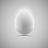 uovo realistico illustrazione vettoriale