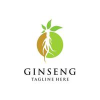 vettore ginseng logo erbaceo pianta vettore naturale erbaceo medicina ginseng erbaceo bevanda icona