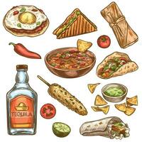 tradizionale messicano cibo. messicano nazionale burrito, tacos e nachos, enchilada e chili Pepe, Tequila colorato schizzo vettore impostato