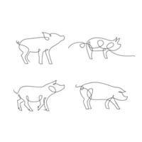 maiale singolo linea illustrazione disegno vettore