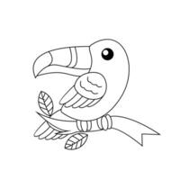 tucano uccello disegno linea carino nero bianca illustrazione vettore