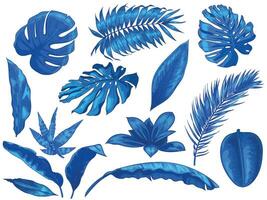 blu tropicale le foglie. esotico palma albero foglia, botanico Monstera e floreale isolato vettore illustrazione impostato