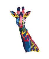 ritratto di testa di giraffa da vernici multicolori. spruzzata di acquerello, disegno colorato, realistico. illustrazione vettoriale di vernici
