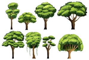 Set di alberi vettore