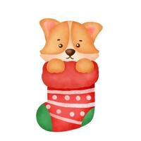 cane corgi sveglio del fumetto dell'acquerello con il calzino per la cartolina di Natale. vettore