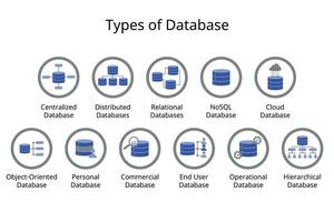 diverso tipi di banche dati icona come come centralizzato Banca dati, distribuito Banca dati, relazionale, SQL, nube, personale, commerciale, orientato agli oggetti, gerarchico vettore