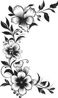 monocromatico floreale eleganza noir emblematico schizzi inchiostro noir giardino storie intricato nero floreale icone vettore