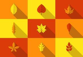 impostato di colorato autunno le foglie icone con lungo ombra. caduto autunno le foglie collezione nel piatto stile. vettore illustrazione.