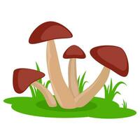 funghi su il erba cartone animato vettore icona isolato su bianca sfondo. commestibile o immangiabile fungo.