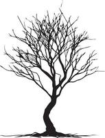 minimo nudo albero silhouette vettore silhouette, nero colore silhouette, bianca sfondo 13