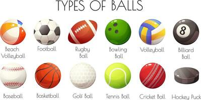 informazione manifesto di tipi di palle per gli sport Giochi. educativo manifesto per bambini. vettore illustrazione nel cartone animato stile