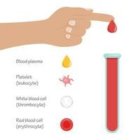 composizione di totale sangue scientifico vettore illustrazione grafico