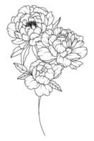 peonia linea disegno. nero e bianca floreale mazzi di fiori. fiore colorazione pagina. floreale linea arte. bene linea peonia illustrazione. mano disegnato fiori. botanico colorazione. nozze invito fiori vettore